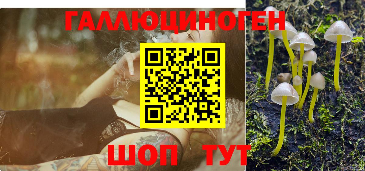 Псилоцибиновые грибы MAGIC MUSHROOMS  Вход с VPN  Псилоцибиновые грибы прущие грибы  Чапаевск 
