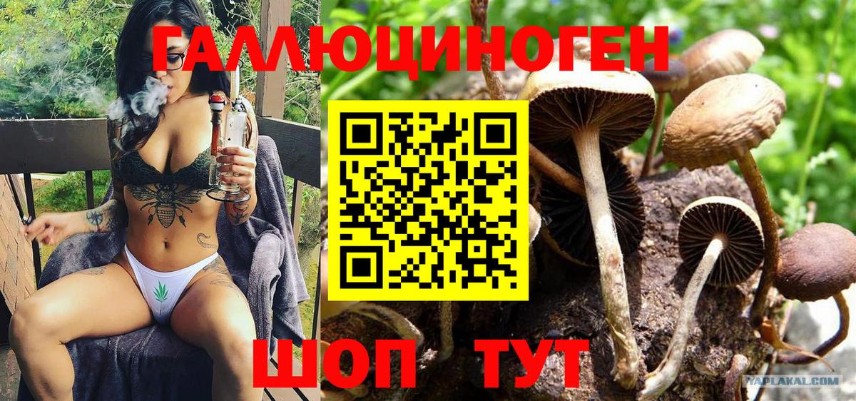 Псилоцибиновые грибы Magic Shrooms Чапаевск